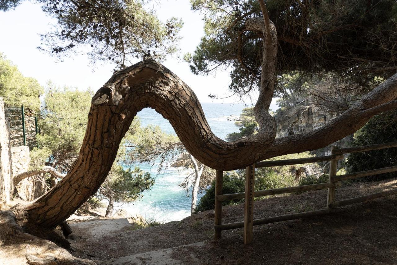 Apartamento Con Parking A 50M De La Playa Sant Antoni De Calonge Esterno foto